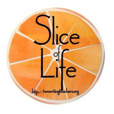 slice-of-life_individual.jpg